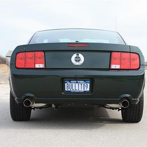 BULLIT09 065 (Medium)