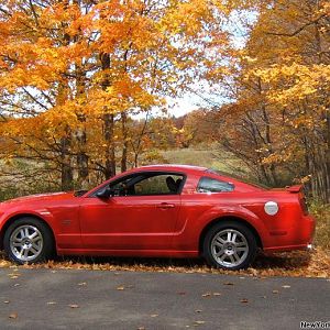 Sprague Brook Park 2008