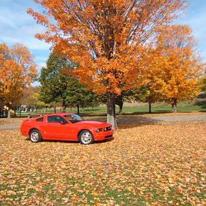 Sprague Book Park, 2007