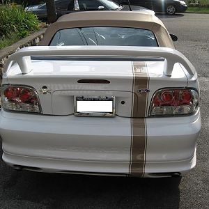 Mustang back