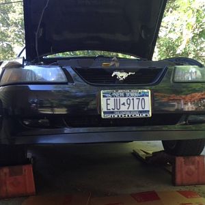 New smoked foglights, lights turned off