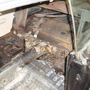 Got the interior ripped out, found lot of mouse nests and poop, and also every one of the original seat belts.