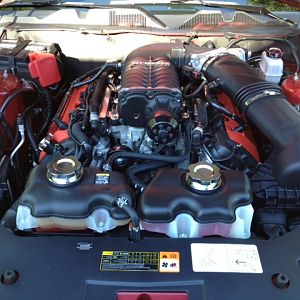 Roush  2300  supercharger