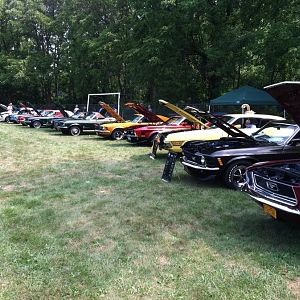 some of the older stangs