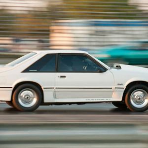 272393 483257458351348 1204578974 o