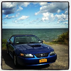 Parking for class today