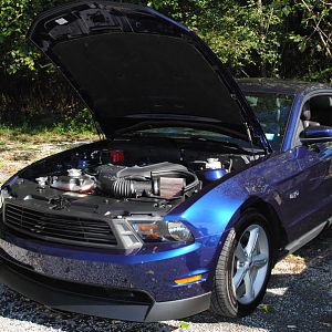 2012 0909nymwwp20120006