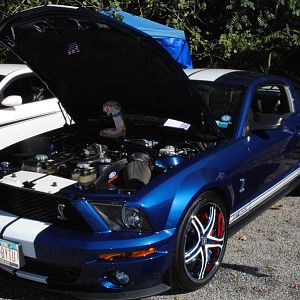 2012 0909nymwwp20120009