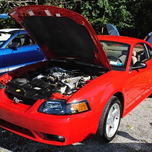 2012 0909nymwwp20120010