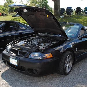 2012 0909nymwwp20120033