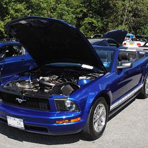 2012 0909nymwwp20120036