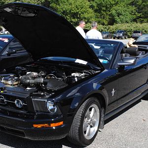 2012 0909nymwwp20120048