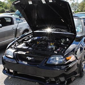 2012 0909nymwwp20120063