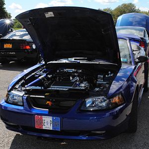 2012 0909nymwwp20120069