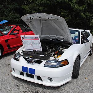 2012 0909nymwwp20120073