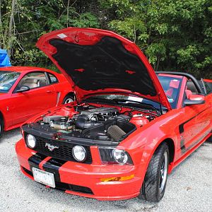 2012 0909nymwwp20120074