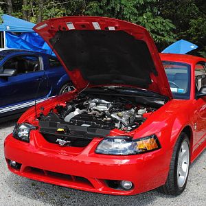 2012 0909nymwwp20120075