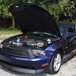 2012 0909nymwwp20120078