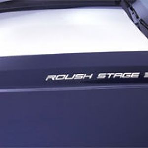 comp mustang 2010 stage3 striping