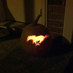 Came out pretty good