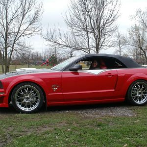 Como Park, spring 2012