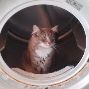 Warm Thoughts Again!!!!