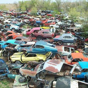 what a shame .......