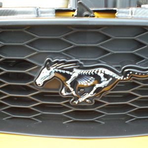 I wonder if I can get one with a corset and leopard heels?