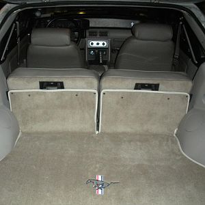 New Paint and Carpet - entire refresh complete.