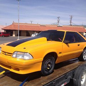 Back from the paintshop to paint the hood underside and mount the Saleen spoiler.