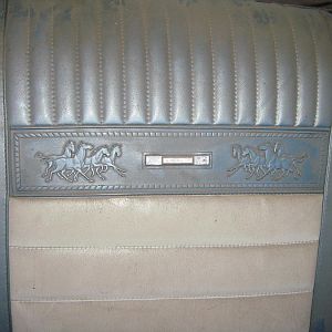 Ponies......the real thing