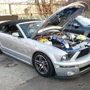 IMG 20121215 152542
Wicked Extrem