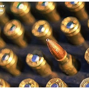 Rew
m



Remington .223