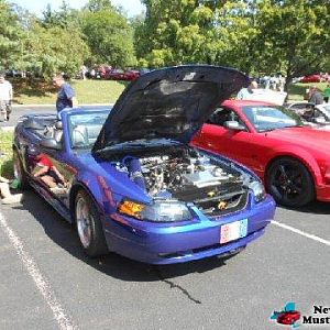 user4071 pic31337 1344875264