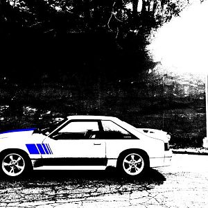 Black n White and Blue?