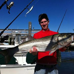 537131 10151432254225948 471637156 n