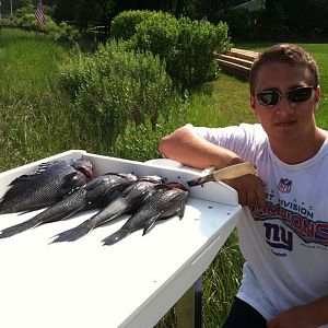 Very good day on the reef that barely ever shows production