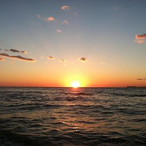 559390 4726378239938 1994805169 n