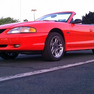 1996 Mustang and Maggie 5.18.12 (3)