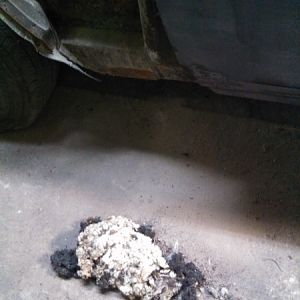 Maybe the last mouse nest in this car? I hope so!