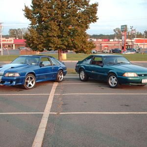 mustangs2