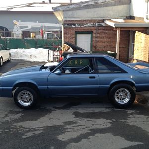 First picture taken out in The daylight.