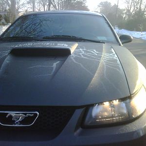 the beast sweating in the early am :p