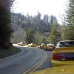 536452 3698717792862 1572645477 a