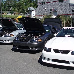 White '04 Saleen Cobra