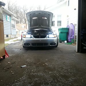 6000k hid w bright lights on