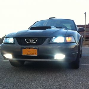 new lights beast is ready