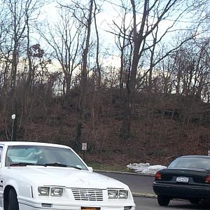 Stang Came Back Home