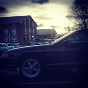 166751 10151556604540948 593017397 n