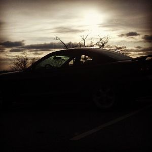 484283 10151556608865948 2132018201 n